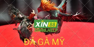 da-ga-my-Xin88