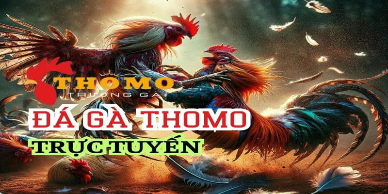 da-ga-thomo-gioi-thieu