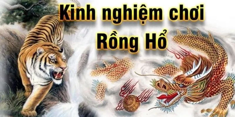 rong-ho-xin88-kinh-nghiem-choi