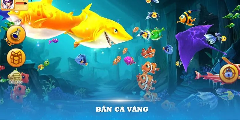 ban-ca-vang-xin88